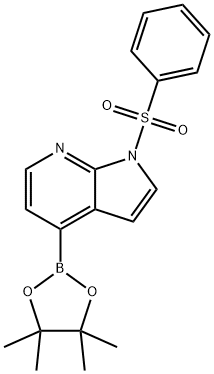 942919-24-6