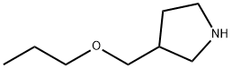 3-(propoxymethyl)pyrrolidine(SALTDATA: 0.25H2CO3) Struktur