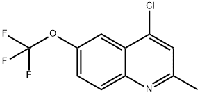 4-CHLORO-2-METHYL-6-TRIFLUOROMETHOXYQUINOLINE Struktur