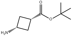 cis-3-AMinocyclobutanecarboxylic acid tert-butyl ester Struktur