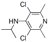 4-Pyridinamine,  3,5-dichloro-2,6-dimethyl-N-(1-methylethyl)- Struktur