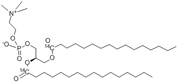 PHOSPHATIDYLCHOLINE, L-ALPHA-DIPALMITOYL, [DIPALMITOYL-1-14C] Struktur