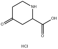 4-Ketopipecolicacidhydrochloride Struktur