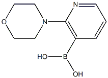 2-Morpholinopyridine-3-boronic acid Struktur