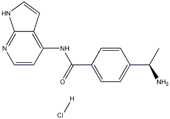  化學(xué)構(gòu)造式