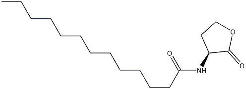 N-TRIDECANOYL-L-HOMSERINE LACTONE Struktur