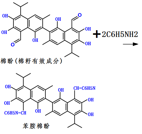 苯胺沉淀法制備醋酸棉酚