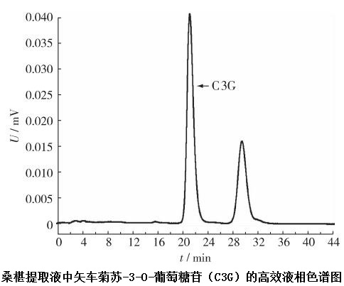 桑椹提取液中矢車菊素-3-O-葡萄糖苷(C3G)的高效液相色譜圖