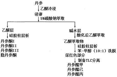 丹參提取工藝