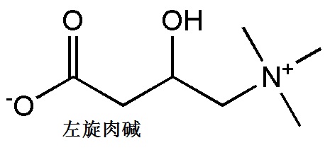 左旋肉堿 結(jié)構(gòu)式