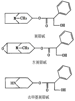 莨菪堿、東莨菪堿、去甲基莨菪堿結(jié)構(gòu)式