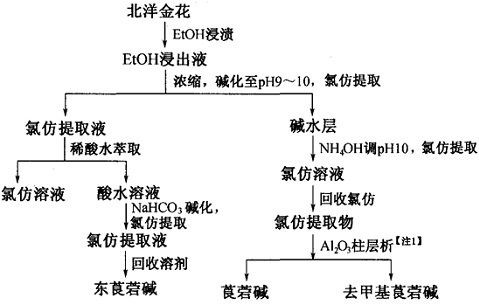 北洋金花中去甲基莨菪堿等成分的提取分離