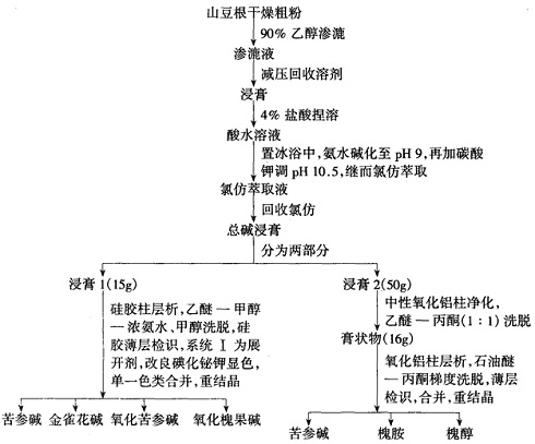 山豆根中生物堿的提取分離