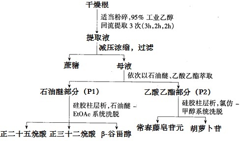 川續(xù)斷根中正二十五烷酸等成分的提取分離