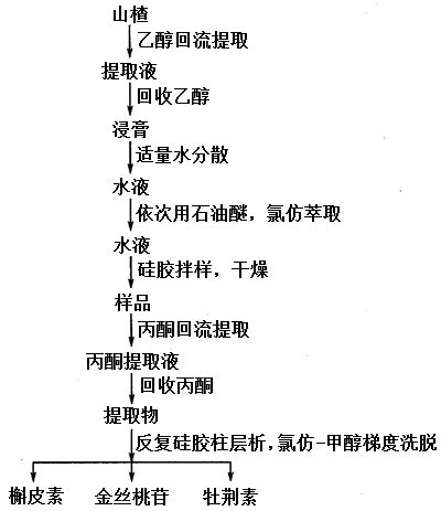 槲皮素、金絲桃苷、牡荊素提取分離