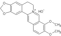 小檗堿結(jié)構(gòu)圖