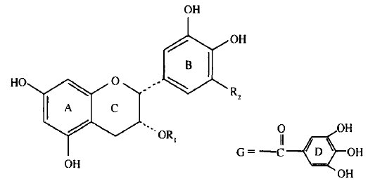  四種主要兒茶素的化學(xué)結(jié)構(gòu)