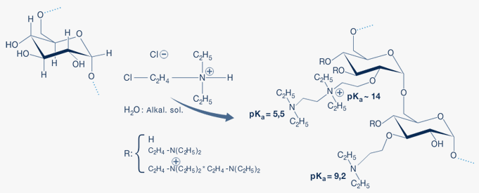 DEAE-Dextran