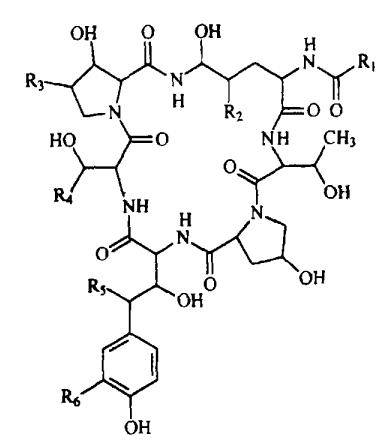 棘白菌素類的環(huán)狀脂肽