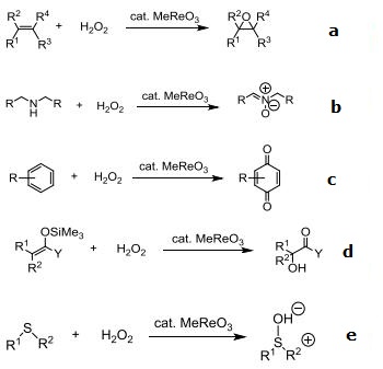 Reactions of 70197-13-6_1