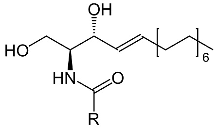 神經(jīng)酰胺 結構式