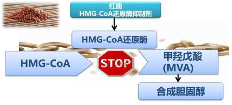 (4S,CIS)-1,3 - 二惡烷-1,1 - 二甲基- 6- 2-氨乙基-1,2 - 二甲基- 1- 4 -醋酸合成應(yīng)用