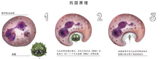 次氯酸小知識(shí)，你知道了嗎？