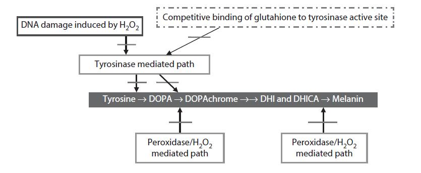 FIGURE 7.2.jpg