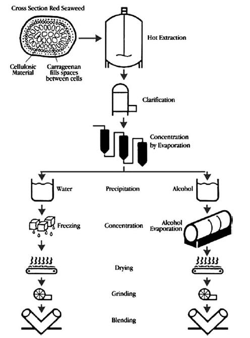 Fig. 3.3.jpg