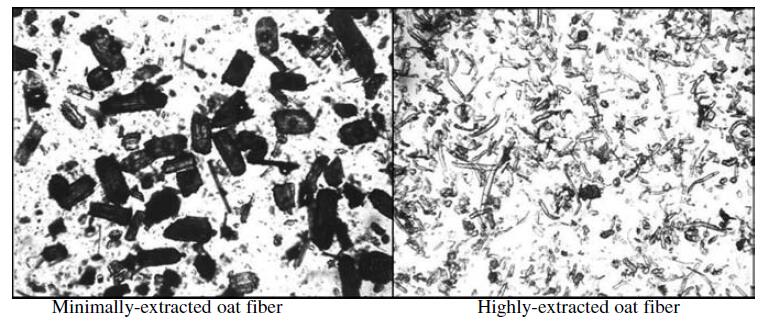 Fig. 4.1.jpg