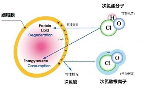 微酸性次氯酸消殺系統(tǒng)