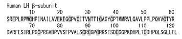 Structure of HLH