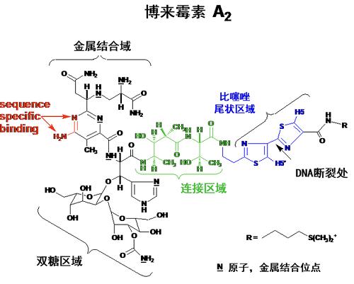 博來霉素 結(jié)構(gòu)