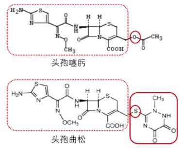 頭孢曲松和頭孢噻肟之間的區(qū)別