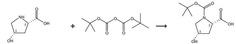 N-Boc-順式-4-羥基-L-脯氨酸的合成路線(xiàn)