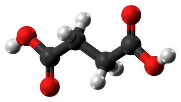 Succinic acid.png