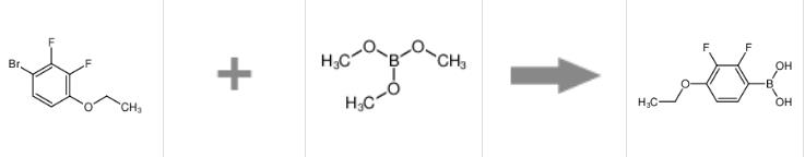 2,3-二氟-4-乙氧基苯硼酸的合成反應(yīng)式