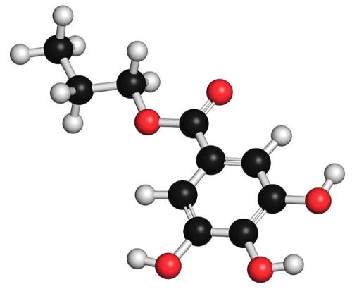 食品抗氧化劑-沒食子酸丙酯-ChemicalBook