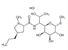 林可霉素的精制