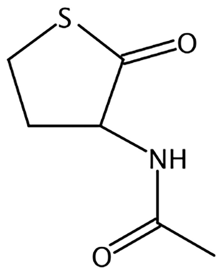 圖片 1副本.png