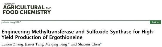 通過(guò)蛋白質(zhì)改造提高麥角硫因的生物合成效率
