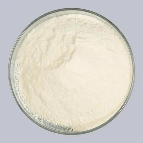 Hydroxypropyl methyl cellulose.png