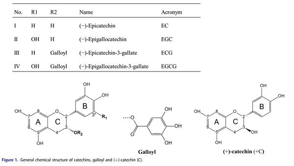 個(gè)體在腸道微生物群概況