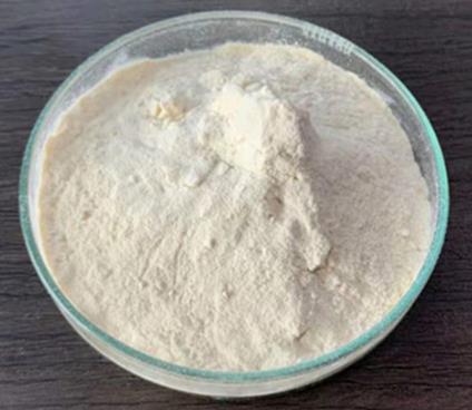 反玉米蛋白的生物應(yīng)用