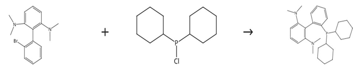 圖1 2-二環(huán)己基膦-2'6'-雙(N,N-二甲胺基)-1,1'-聯(lián)苯的合成路線