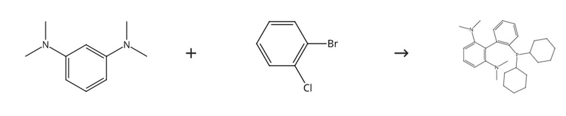 圖2 2-二環(huán)己基膦-2'6'-雙(N,N-二甲胺基)-1,1'-聯(lián)苯的合成路線
