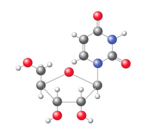 Uridine