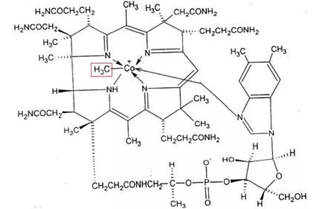 生素 B12 和甲鈷胺是同一藥物嗎？生素 B12 的功效是什么？