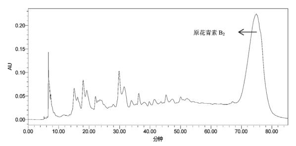 圖3 葡萄籽提取物原花青素B2半制備色譜圖