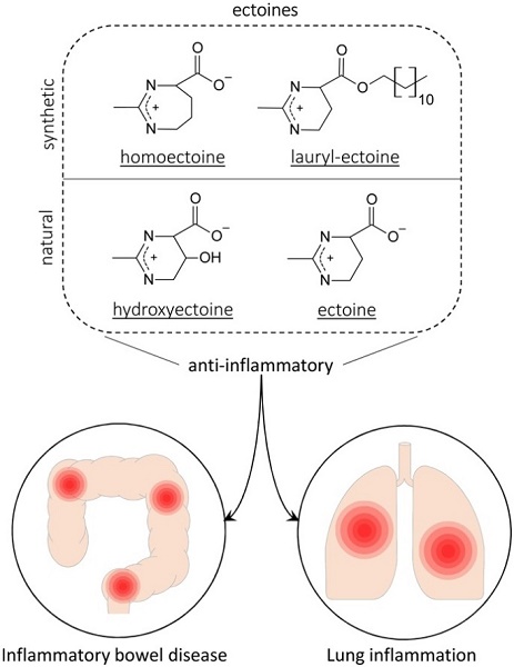 Ectoine